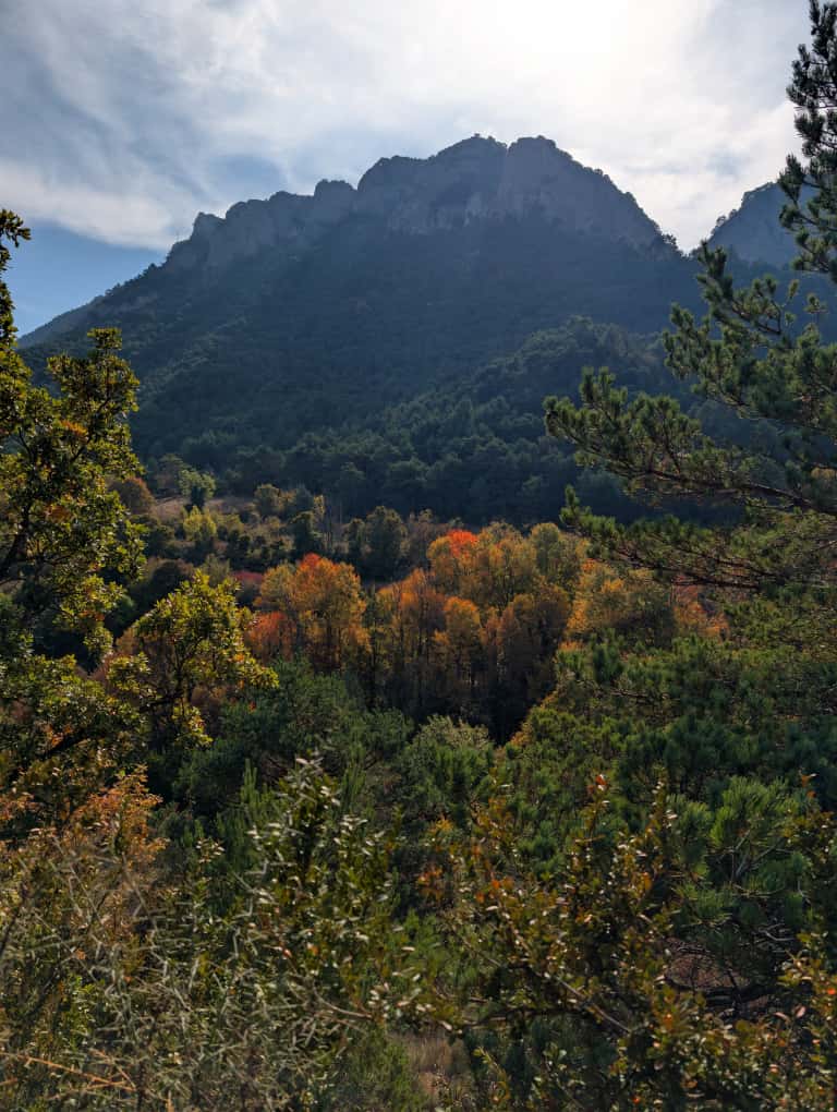 Jornada de Educación Ambiental