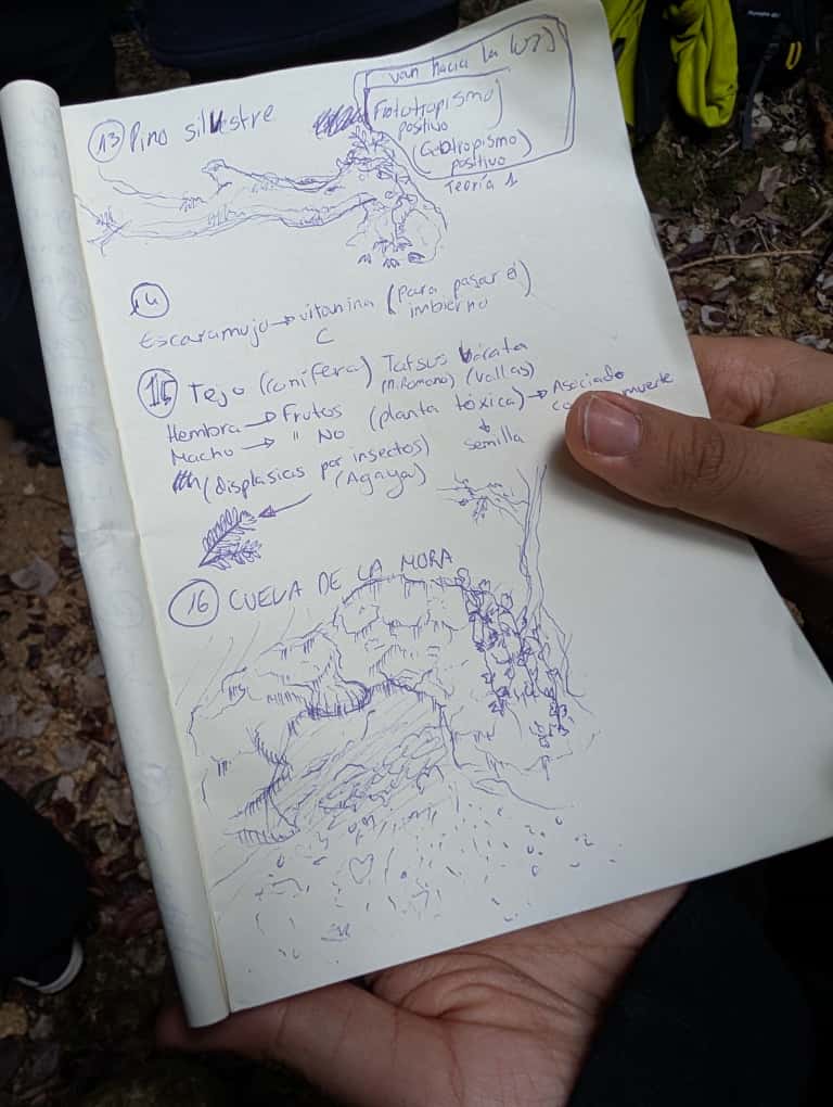 Jornada de Educación Ambiental