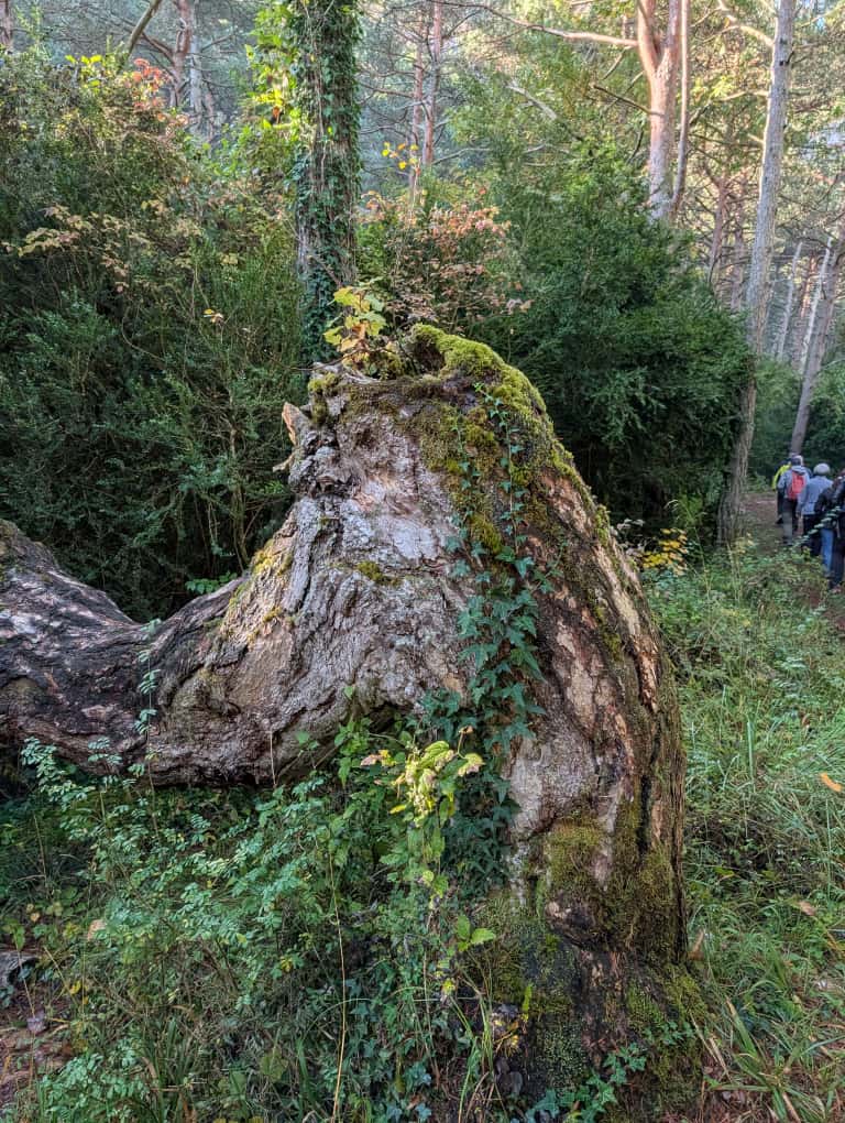 Jornada de Educación Ambiental