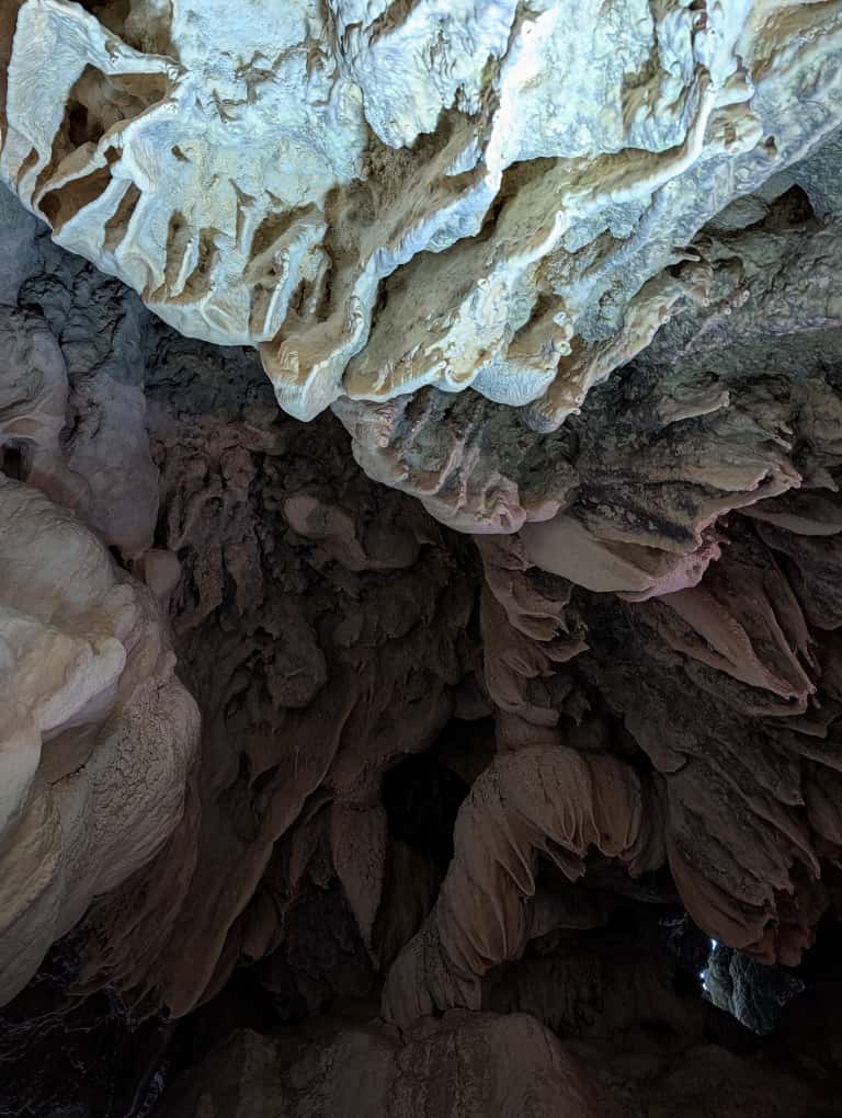 Jornada de Educación Ambiental