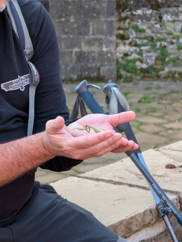 Jornada de Educación Ambiental
