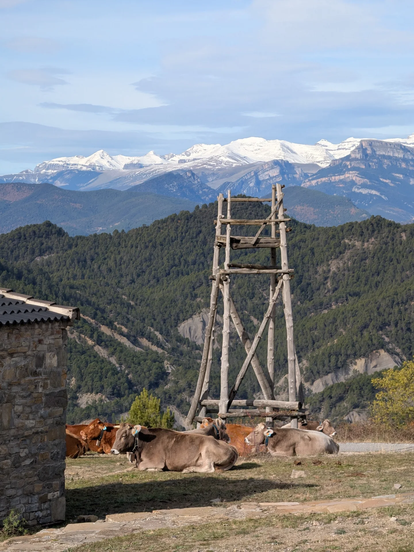 Campamento de invierno